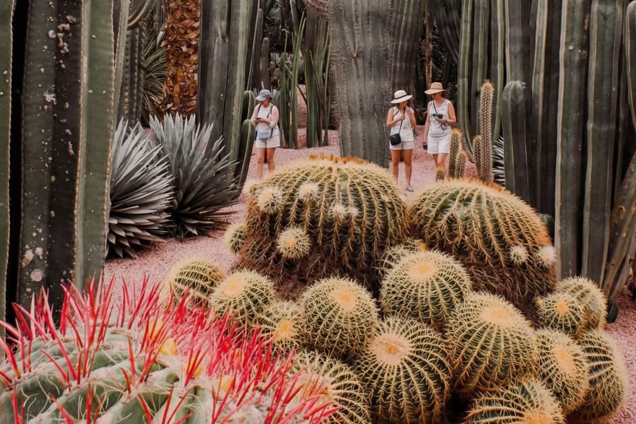 Jardin Majorelle